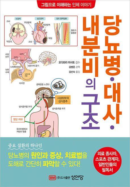 당뇨병 대사 내분비의 구조