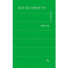 팽나무 밑동 북쪽에 핀 이끼