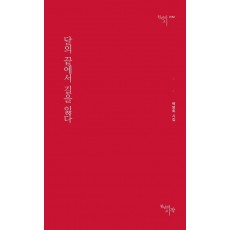 달의 끝에서 길을 잃다