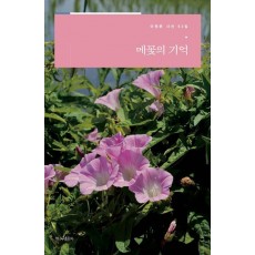 메꽃의 기억