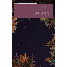숨어 우는 별