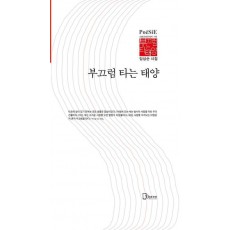 부끄럼 타는 태양