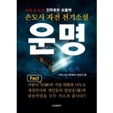 손도사 자전 천기소설 운명
