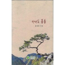 안면도 홍송