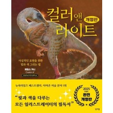 컬러 앤 라이트
