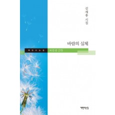 바람의 실체