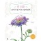 더 쉬운 보타니컬 아트 컬러링북: 들꽃 편