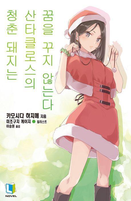 청춘 돼지는 산타클로스의 꿈을 꾸지 않는다 13