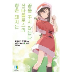 청춘 돼지는 산타클로스의 꿈을 꾸지 않는다 13