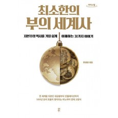 최소한의 부의 세계사(큰글자도서)