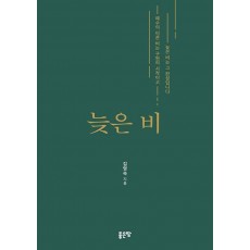 늦은 비