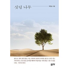 싯딤 나무