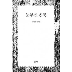 눈부신 침묵
