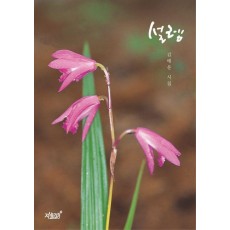 설렘