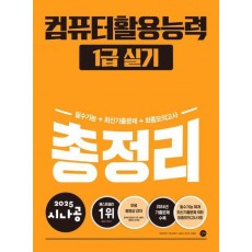 2025 시나공 컴퓨터활용능력 1급 실기 총정리