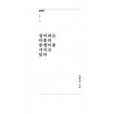 장미라는 이름의 돌멩이를 가지고 있다