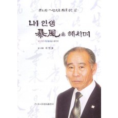 내인생 폭풍을 헤치며