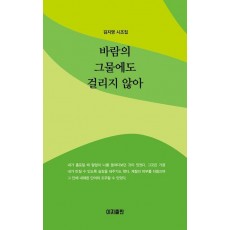 바람의 그물에도 걸리지 않아