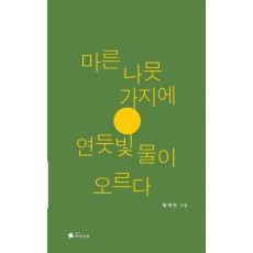 마른 나뭇가지에 연둣빛 물이 오르다