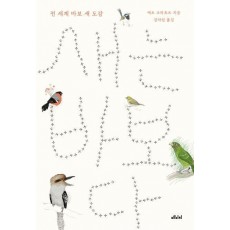 새는 바보다