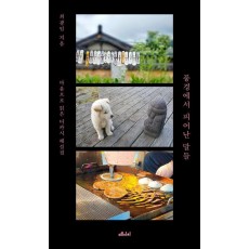 풍경에서 피어난 말들