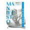 매니페스토(Manifesto)