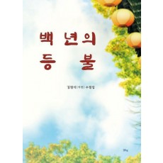 백 년의 등불