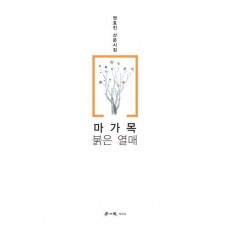 마가목 붉은 열매