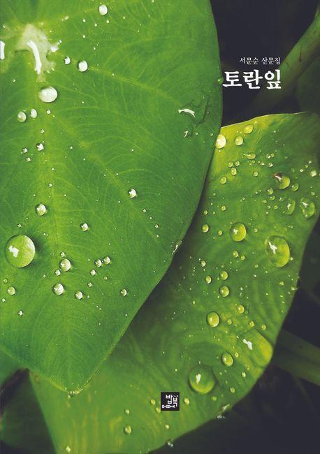 토란잎