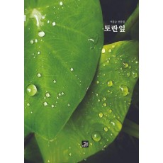 토란잎