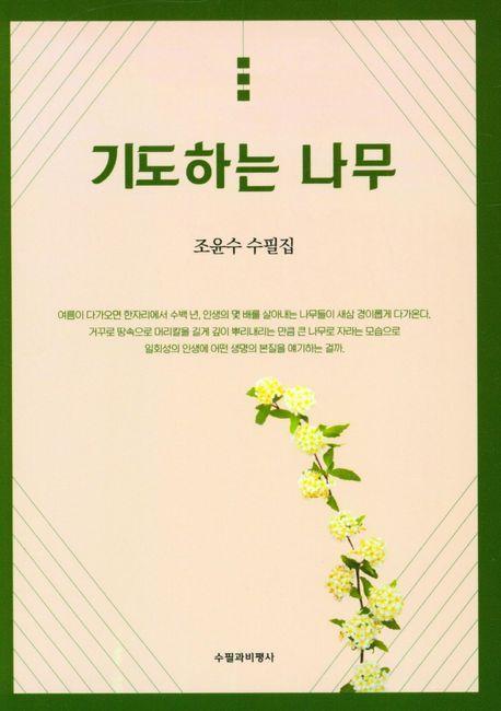 기도하는 나무