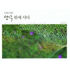 생각위에 서다