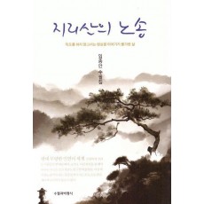 지리산의 노송