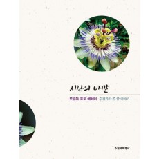시간의 바깥
