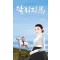 달리지 마