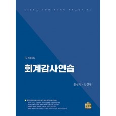 2025 회계감사연습