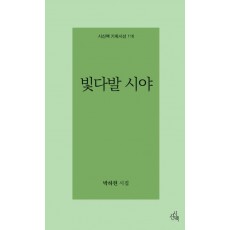 빛다발 시야
