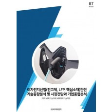 이차전지산업(전고체,LFP, 핵심소재)관련 기술동향분석 및 시장전망과 기업종합분석