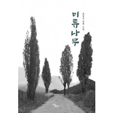 미류나무