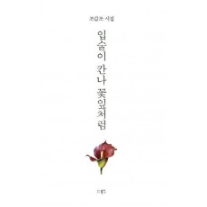 입술이 칸나 꽃잎처럼