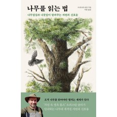 나무를 읽는 법