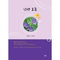 인생 오후