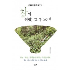 차의 귀향, 그 후 20년