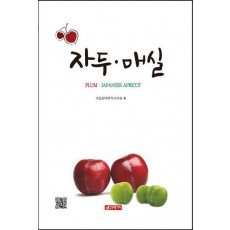 자두 매실