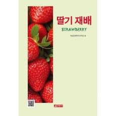 딸기 재배