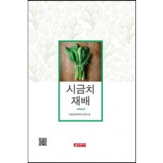 시금치 재배