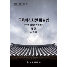 금융혁신지원 특별법 (약칭: 금융혁신법): 법령, 시행령