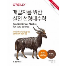 개발자를 위한 실전 선형대수학(파이썬 3.10 버전 대응, 구글 코랩 실습 가능)
