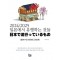 2024/2025 일본에서 유행하는 것들