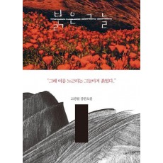 붉은 그늘